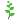 :284_herb:
