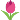 :296_tulip: