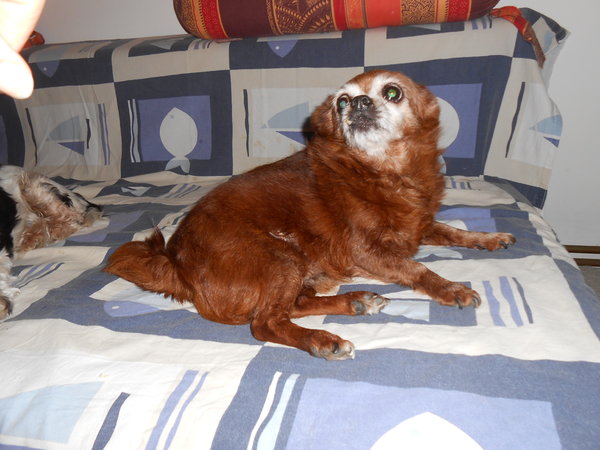 DSCN2176.JPG