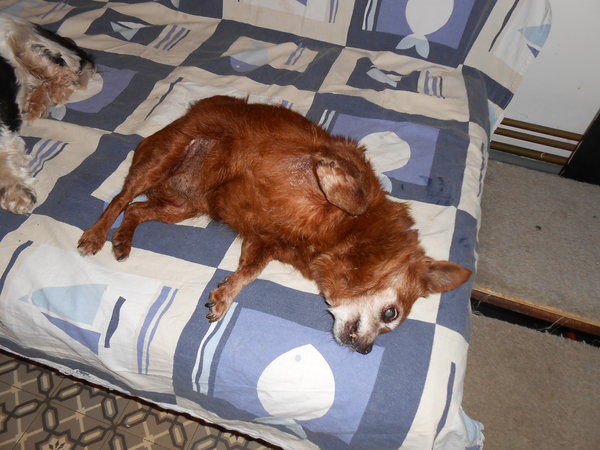 DSCN2177.JPG