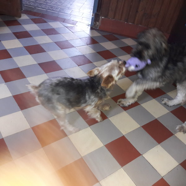 20180817_134210.jpg
