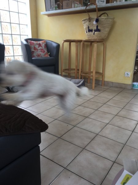A88A6127-C25F-4610-86A1-2E44E12F4821.thumb.jpeg.621038febea0962fd91e789c88b8da01.jpeg