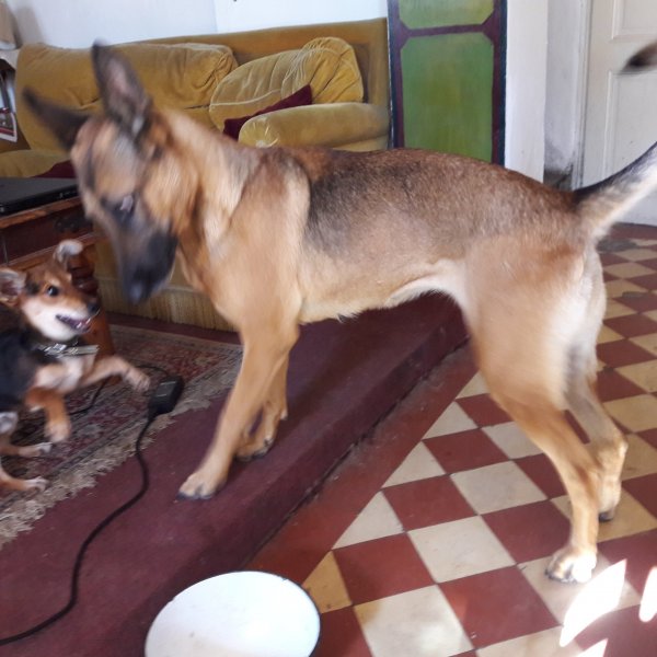 20181004_152754.jpg