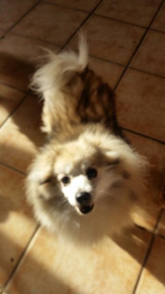 gisèle6.jpg