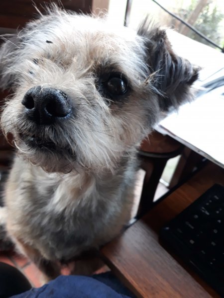 pepito-05-10-18-ConvertImage-001.jpg