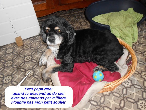 prince couffin 1.jpg