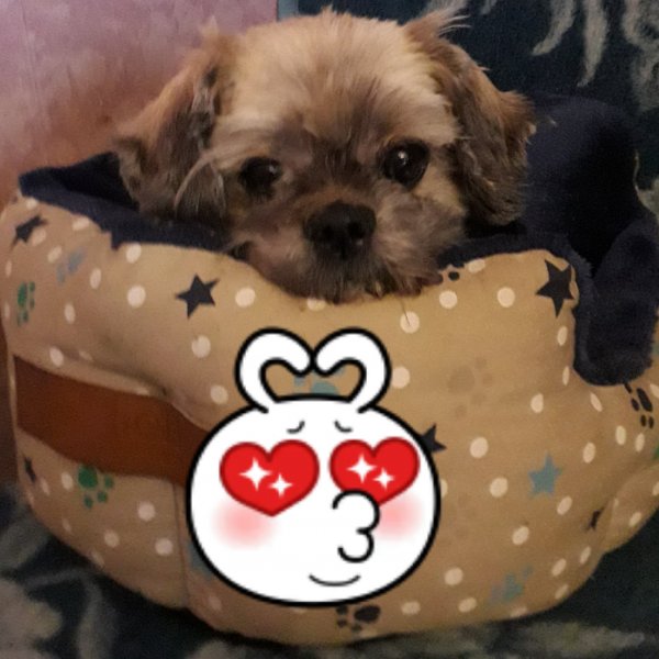 20190101_131709.jpg