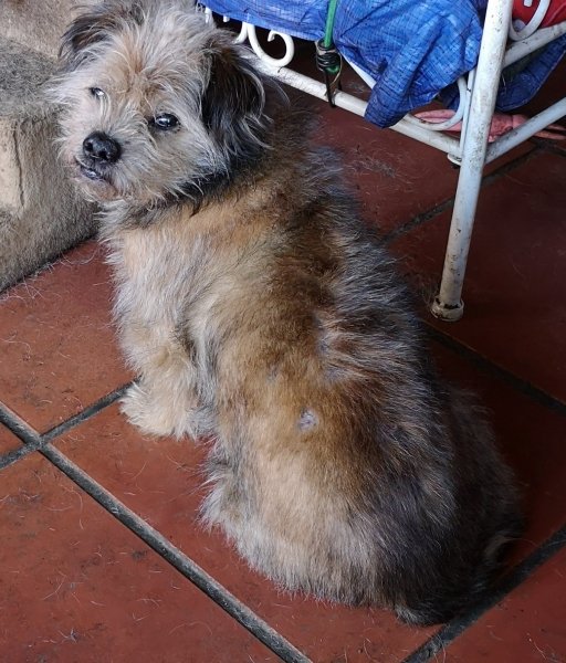 pepito 20 01 19.jpg