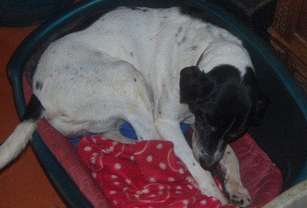 DSC_0440 (2)-001.JPG