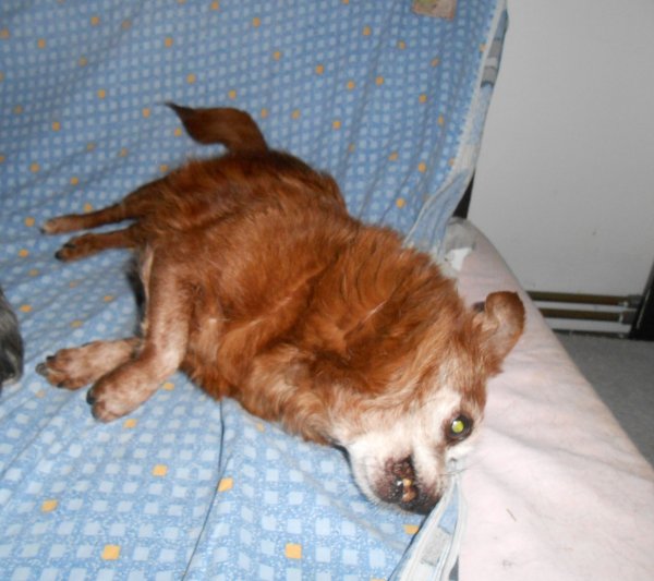 DSCN2675.JPG