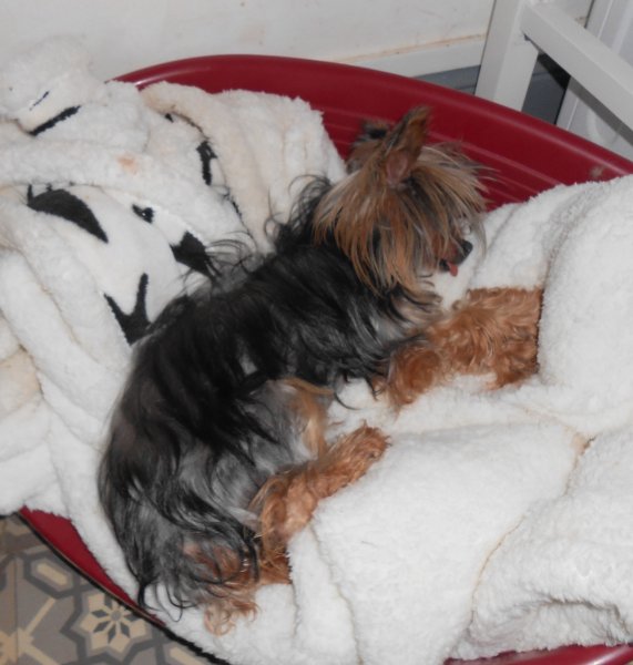 DSCN2677.JPG