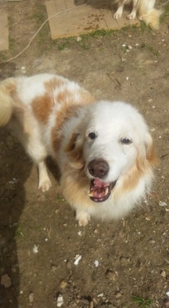 léon6 - Copie.jpg