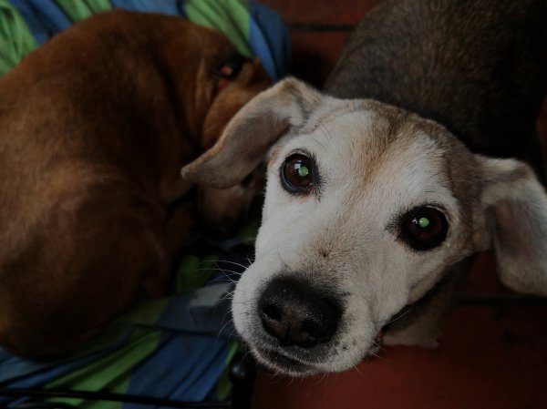 stitch 12 03 19.jpg