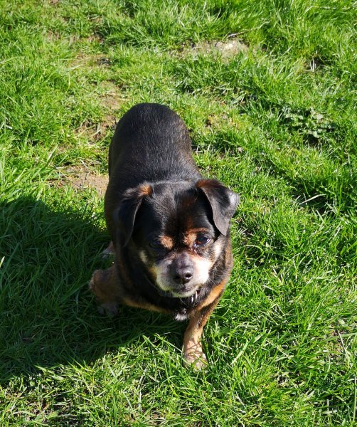 BALOO 23 03 19.jpg