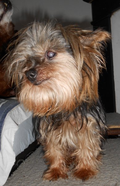 DSCN2737.JPG