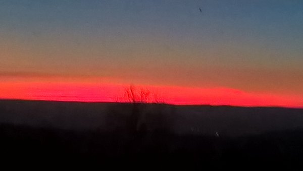 WP_20190227_06_49_52_Pro.jpg