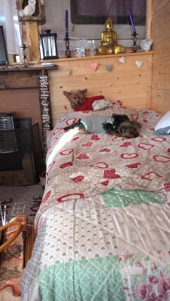 WP_20190227_09_13_12_Pro.jpg