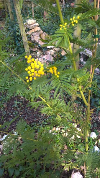 WP_20190312_15_01_47_Pro.jpg