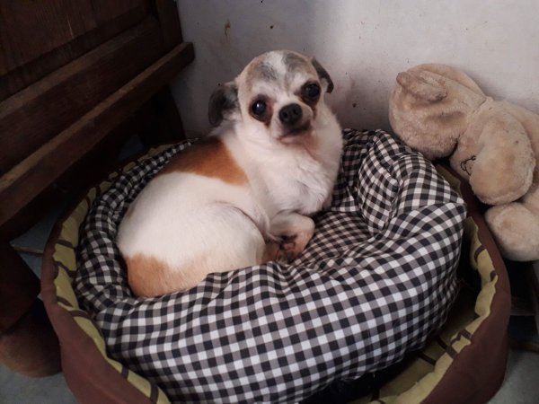 doudou.jpg