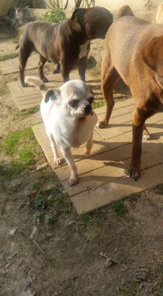 doudou3.jpg