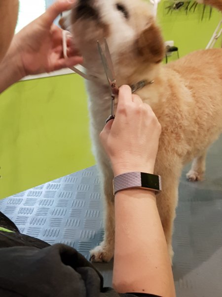 20190520_103644.jpg