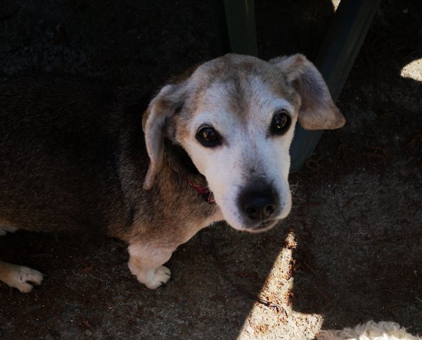 stitch 07 05 19 1.jpg