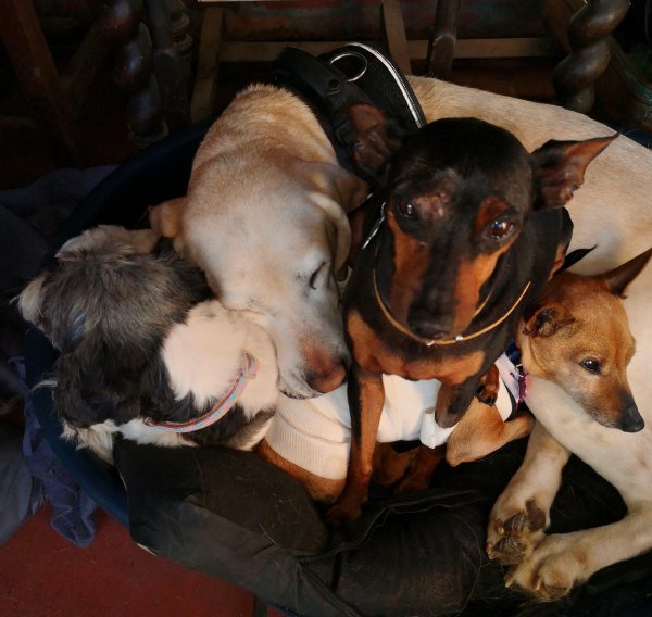 freddy et potes 14 05 19 4.jpg