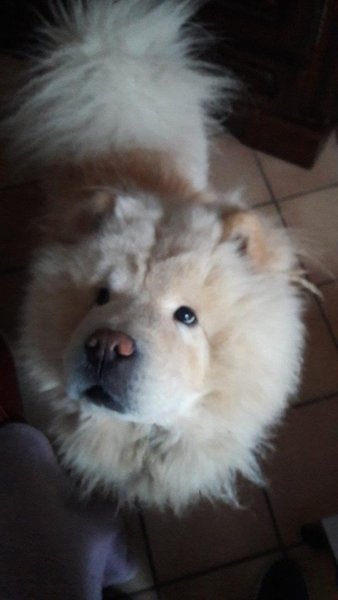 Nounours.jpg