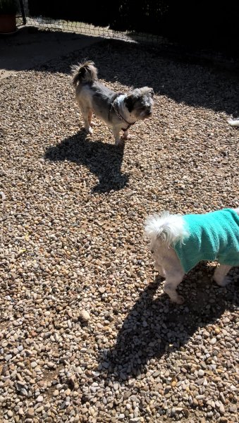 WP_20190512_16_52_14_Pro.jpg