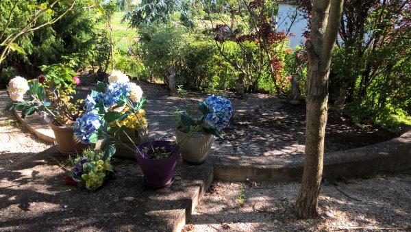 WP_20190523_17_48_41_Pro.jpg