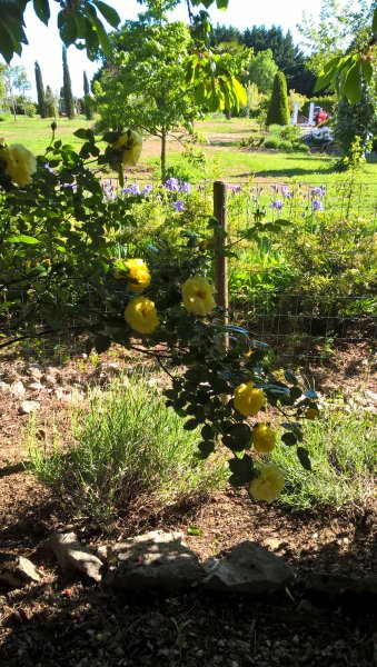 WP_20190523_17_49_16_Pro.jpg