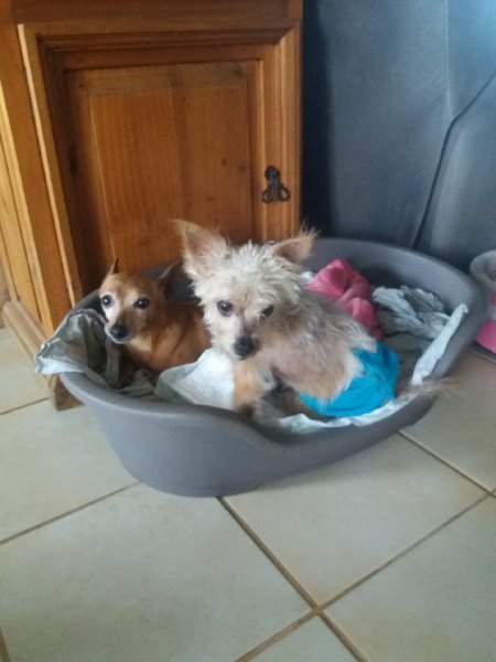 enzo et pote juillet 2019.jpg