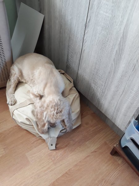 20180507_110709.jpg