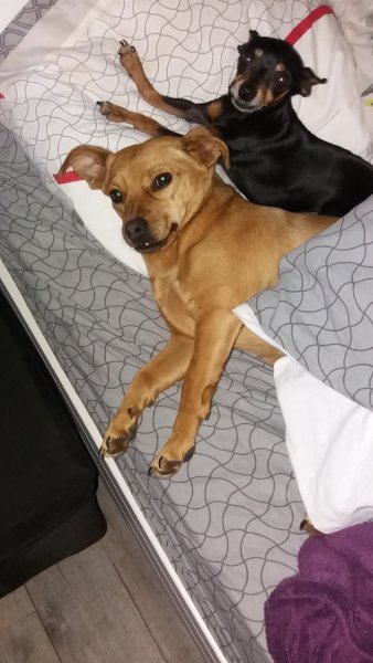 20190417_094758.jpg