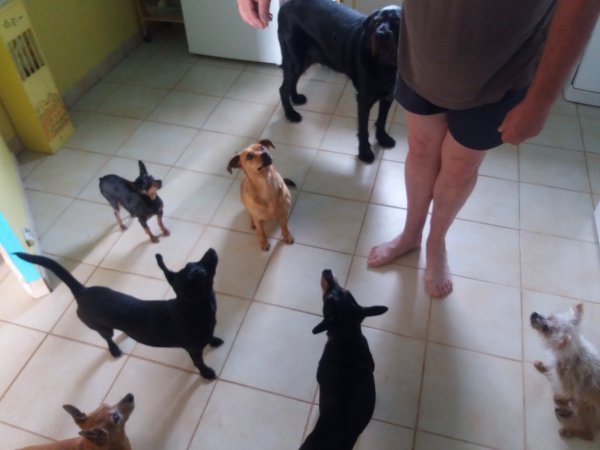 20190719_095844.jpg