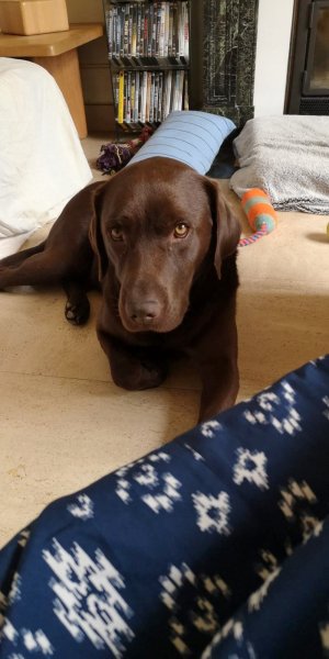 IMG-20190624-WA00151001.jpg