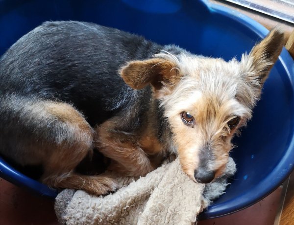 bobby 09 08 19.jpg