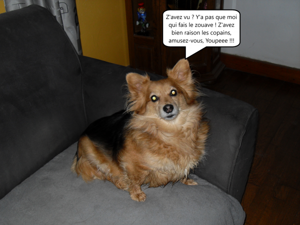 112 Willow sept 2019 .png