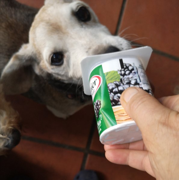stitch 08 09 19.jpg