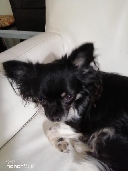 betty2.jpg