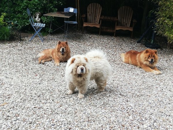 nounours10.jpg
