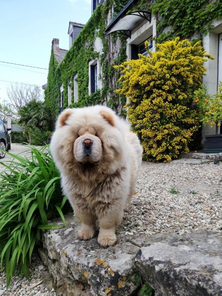 nounours8.jpg