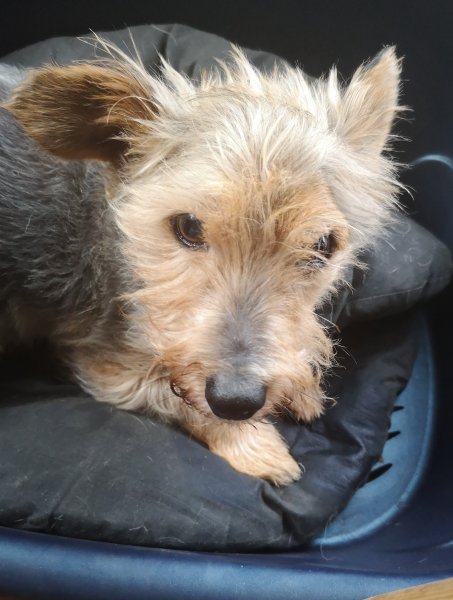 bobby 07 10 19.jpg