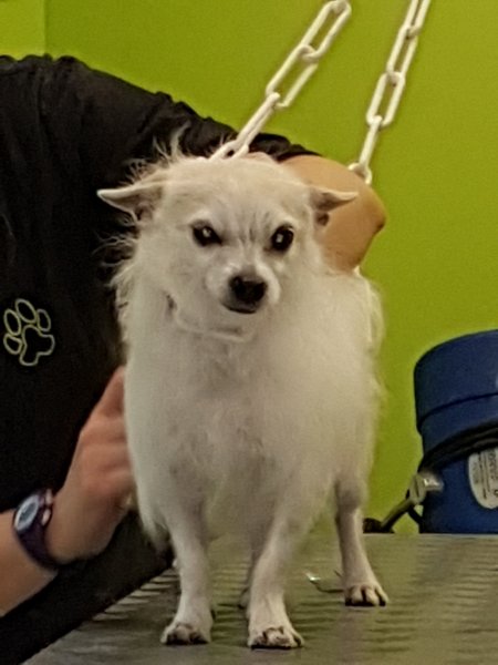 20191114_104716.jpg
