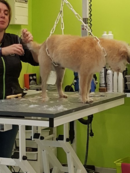 20191114_111213.jpg