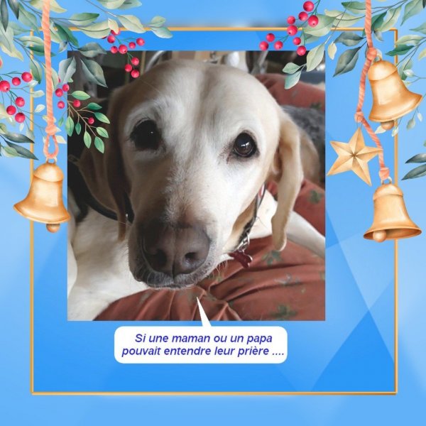 capucine noel 19 2.jpg