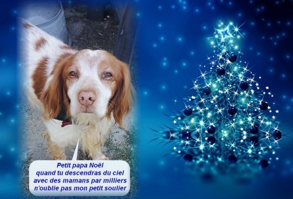 tonton noel 2019.jpg