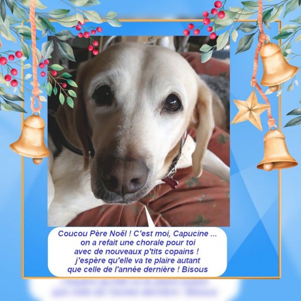 capucine noel 19.jpg