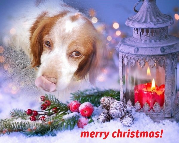 tonton noel 2019.jpg