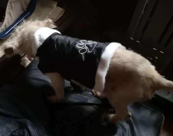 cesar 02 01 20.jpg